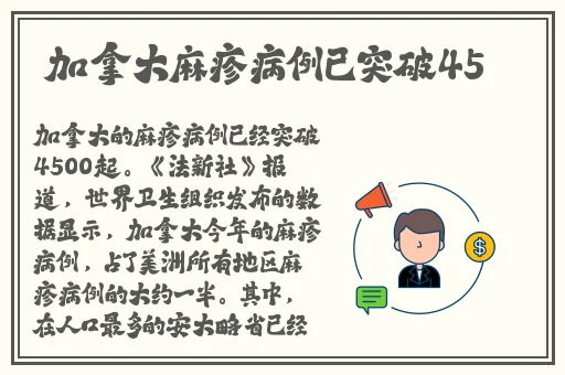 美国式禁忌5一11集